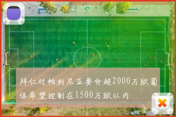 拜仁对帕利尼亚要价超2000万欧葡体希望控制在1500万欧以内